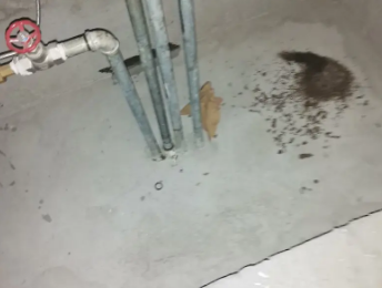 雷州卫生间测漏水价格明细